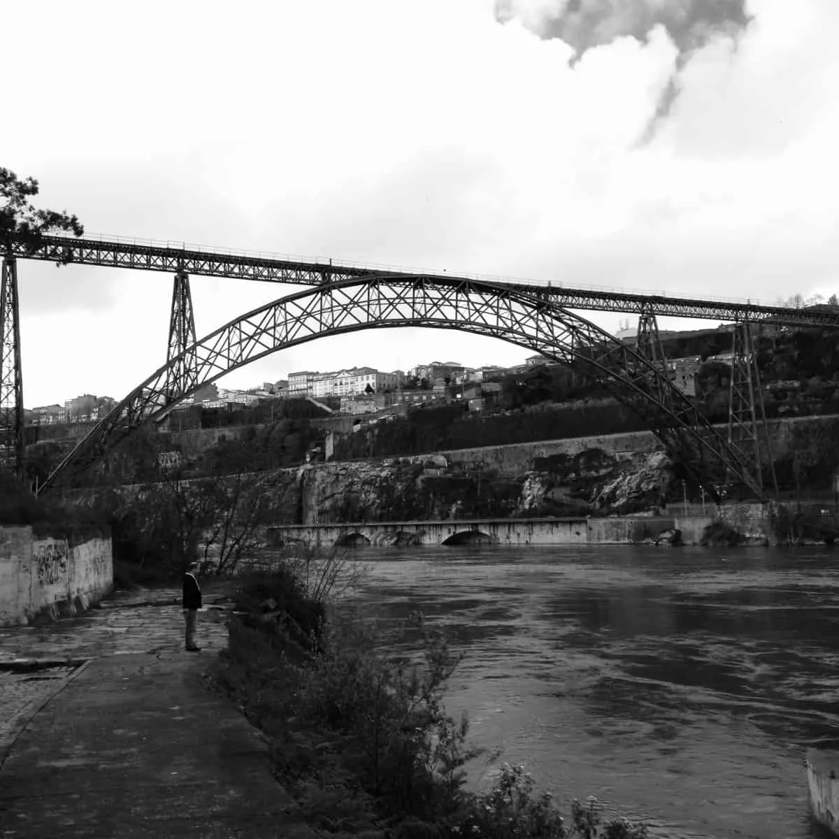 Maria Pia bridge view from gaia