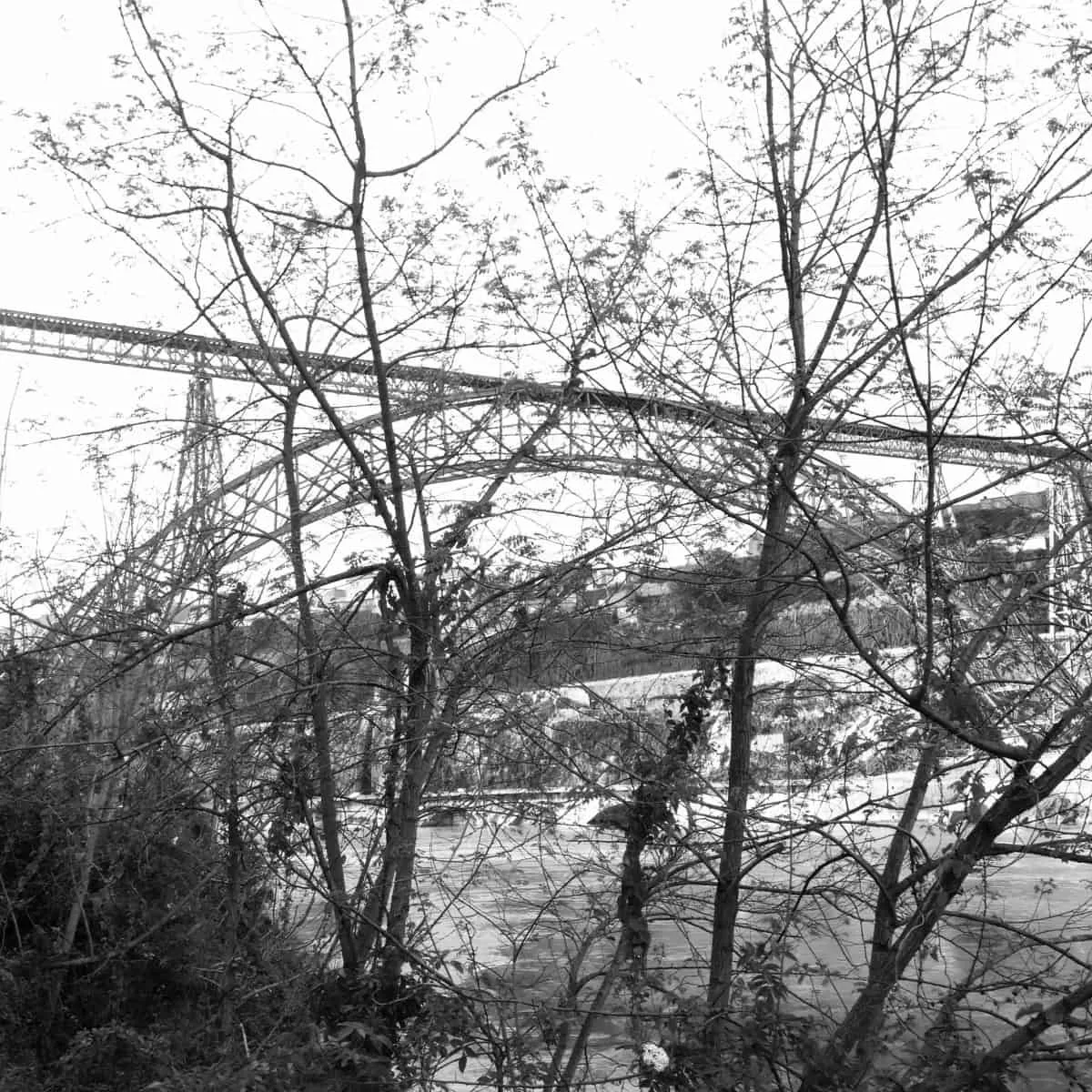 maria pia bridge margin